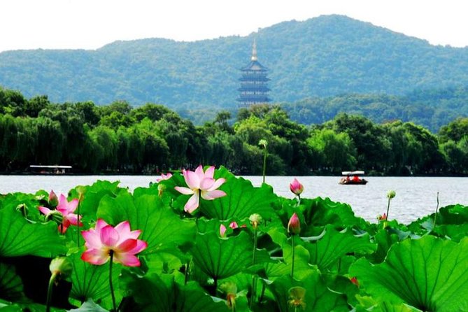 Private Hangzhou Day Trip From Shanghai by Bullet Train - Tour Overview and Highlights
