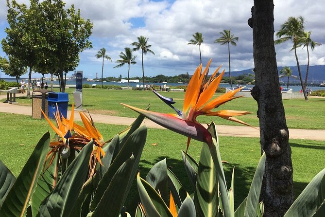 Private Hawaii Pearl Harbor Tours and North Shore (Up to 12 People ) - Tour Highlights