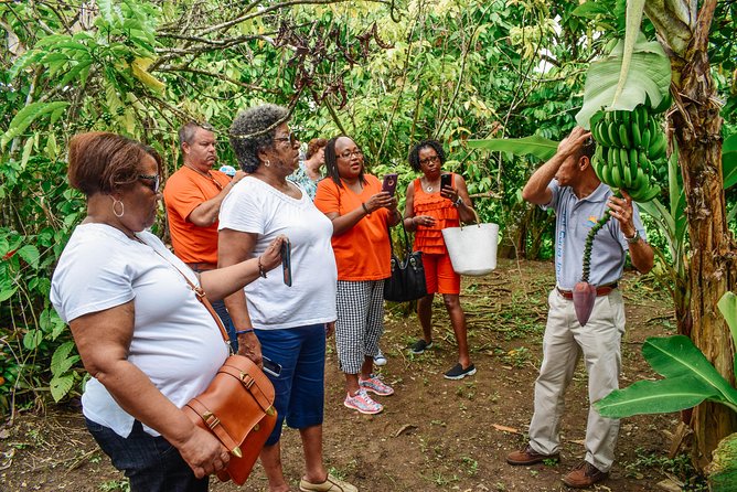 Private Higuey Cultural Tour From Punta Cana (Half-Day) - Itinerary Overview