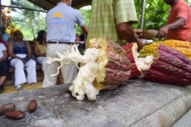 Private Higuey Cultural Tour From Punta Cana (Half-Day) - Cultural Experiences