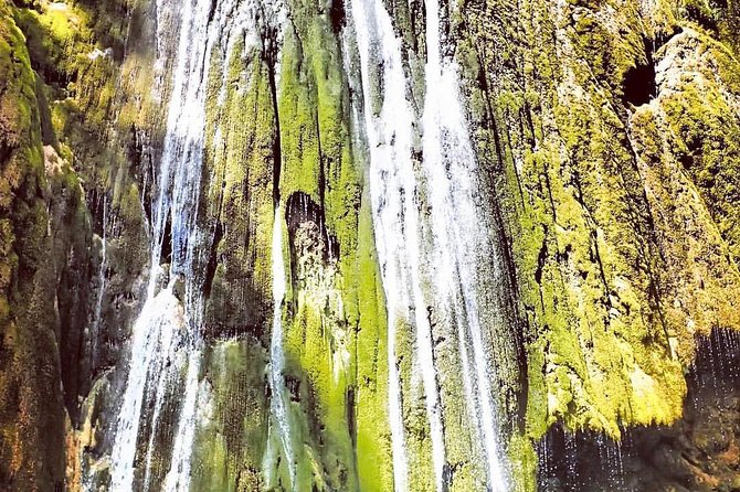 Private Hiking to Salto El Limon With a Local Expert Guide From Samana - Tour Details