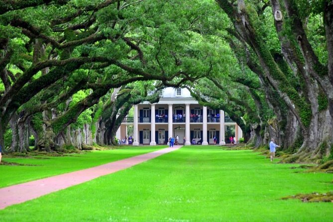 Private Historic Louisiana Plantation Tour
