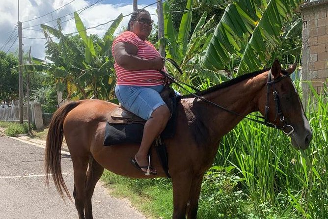 Private Horseback Riding From Ocho Rios With Guide - Overview of the Tour