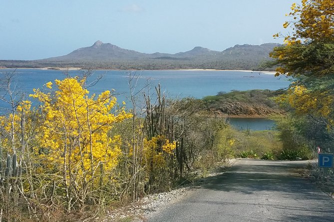 Private Island Tour (Minimum Group of 4 Persons). - Overview and Itinerary