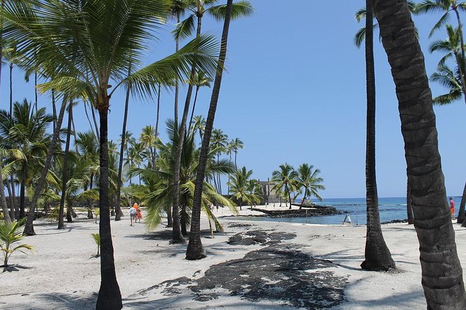 Private Kona From Coffee to Culture Mercedes Tour - Tour Highlights