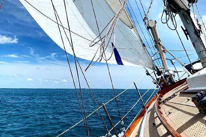 Private Lake Michigan Sailing Charter and Sightseeing Chicago Skyline Cruise - Meeting and Pickup