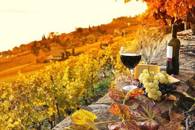 Private Lucca Wine Tour With Lunch and Tastings - Tour Overview