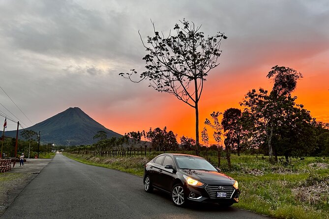 Private Luxury Transportation From the Airport to Your Hotel - Pricing and Booking Details