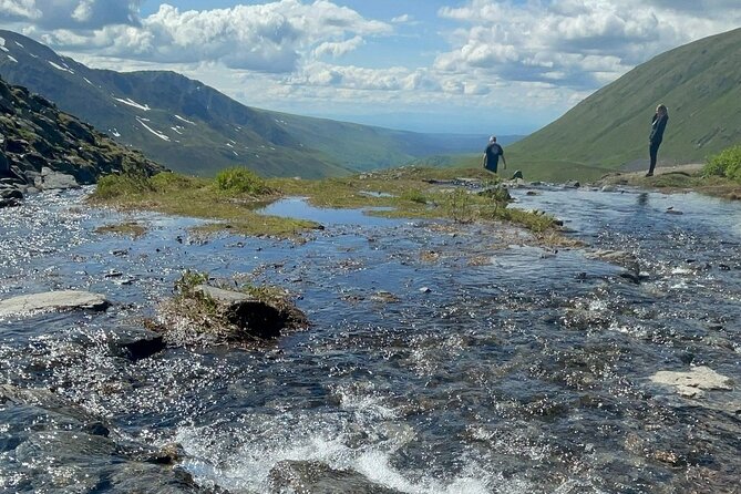 Private Mat-Su Valley, Hatcher Pass & Local Wildlife Tour - Wildlife Spotting Opportunities