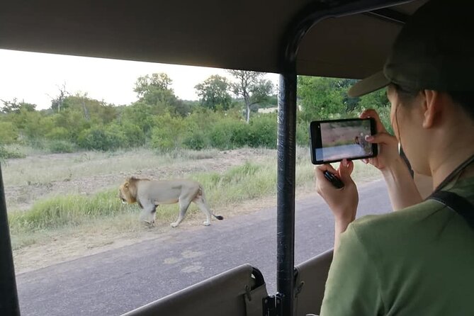Private Morning Game Drive From Hazyview L Kruger National Park - Traveler Requirements and Additional Information