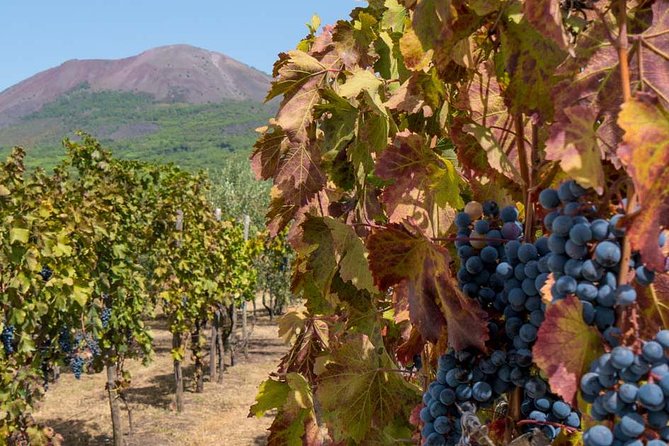 Private Mt Vesuvius and Pompeii With Lunch and Wine Farm Experience - Good To Know