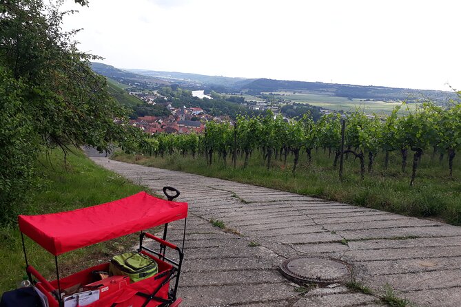 Private Mulled Wine Tour in Würzburg - Tour Details