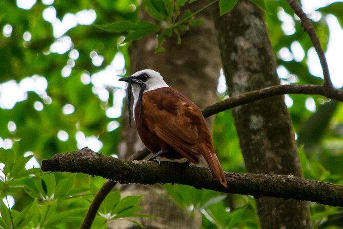 Private Natural History Walk by Pasión Costa Rica - Pricing and Booking