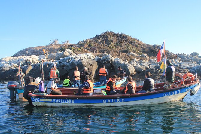 Private Nautical Tour to Isla De Los Penguinos - Tour Inclusions