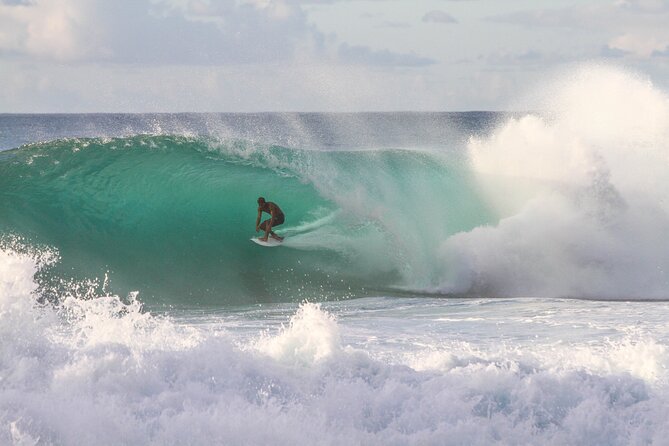 Private Oahu World-Famous North Shore Tour From Honolulu - Tour Pricing and Reservation