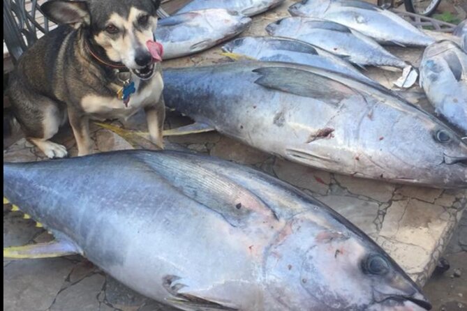 Private Offshore Fishing Charter From Port Aransas - Logistics and Meeting Point