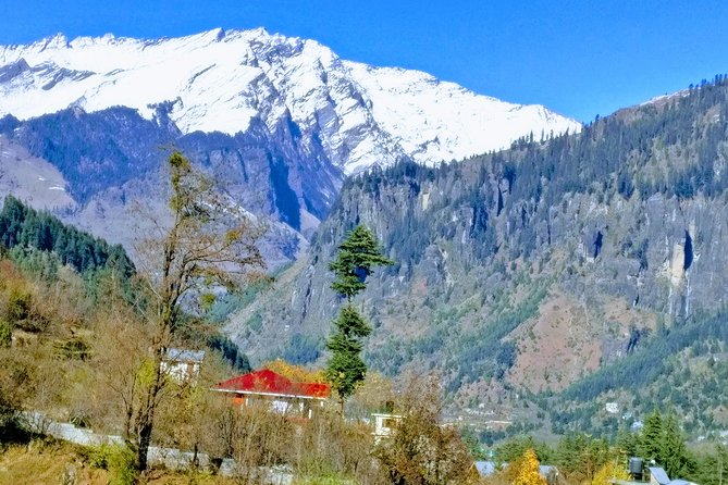 Private One Day Hiking Trip in Manali, Scenic Mountain Trail in Manali - Traveler Experience Overview