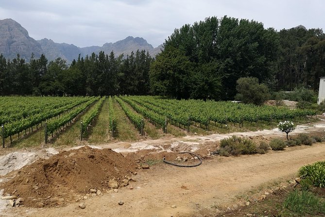 Private Panoramic Cape Town and Wine Tasting From Stellenbosch - Inclusions and Amenities