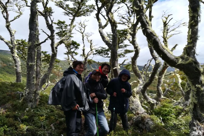 Private Patagonian Forest Hike in Punta Arenas: 8 Hour - Tour Overview