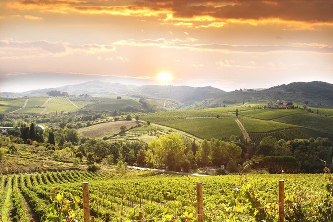 Private Pisa, Pasta and Chianti Lovers Wine Experience From La Spezia - Tour Highlights