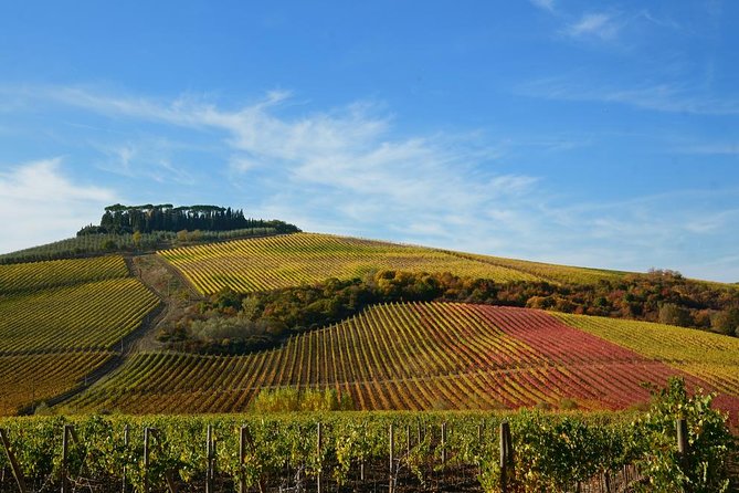 Private Pisa, Pasta and Chianti Lovers Wine Experience Livorno Shore Excursion - Experience Details