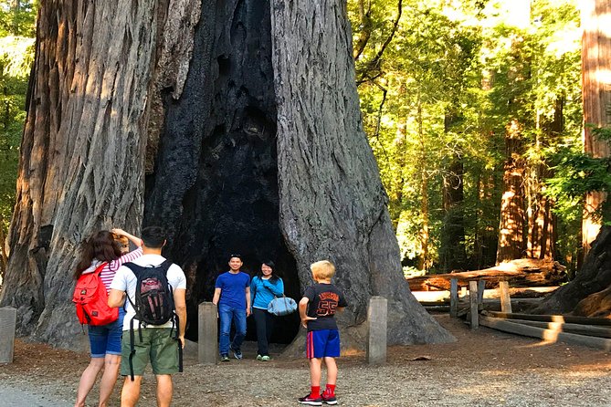 Private Redwoods Tour & Beach Horseback Riding Experience From San Francisco - Tour Highlights