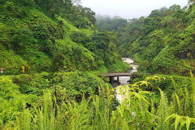 Private Road to Hana or Any Maui Destination in Luxury Mercedes Sprinter - Logistics