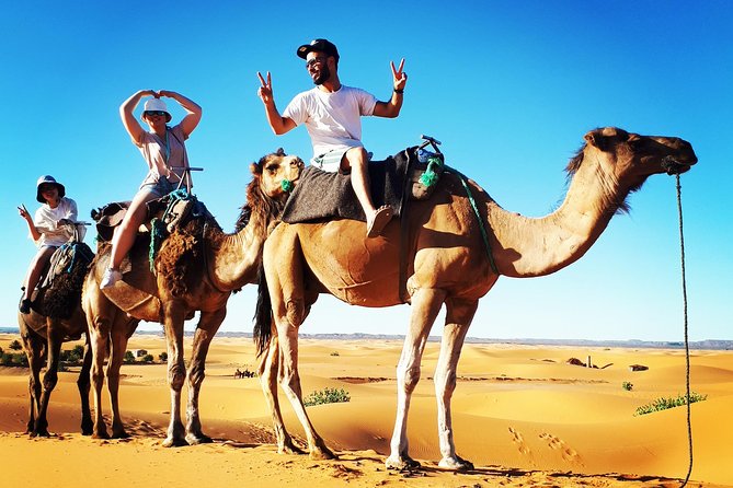 Private Sahara Tour 4/4 Car (Fes to Marrakech- 3 Days 2 Nights) - Good To Know