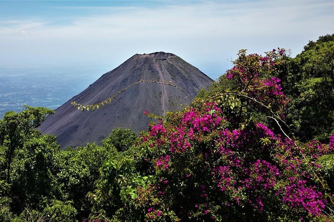 Private San Andres, Tazumal, Cerro Verde National Park From San Salvador - Tour Details
