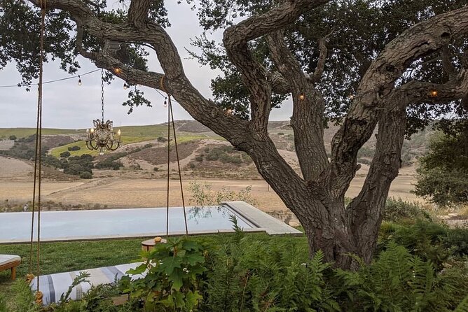 Private Santa Ynez Valley Wine Tasting Tour for up to 4 Guests - Cancellation Policy Details