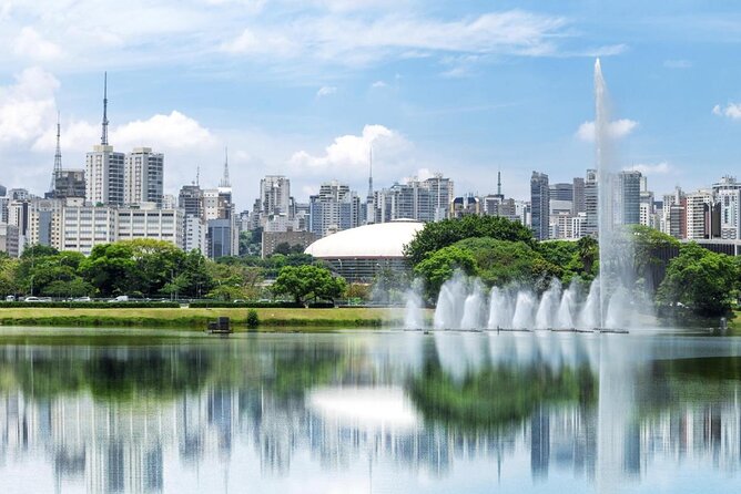 Private São Paulo Tour With Ibirapuera Park, Paulista Av and Downtown Visit - Pricing and Reservation Details