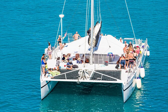 Private Saona Island Catamaran Tour From Punta Cana - Tour Overview