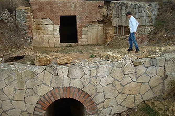 Private Shore Excursion From Civitavecchia Port to Etruscan Countryside - Tour Highlights