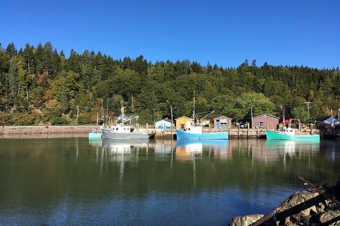 Private Sightseeing Tour In Saint John - Whats Included