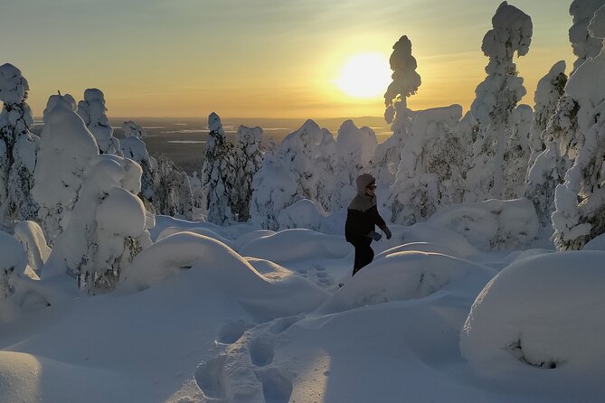 Private Snowshoeing in Levi - Pricing and Booking