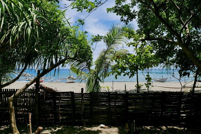 Private, Sustainable Farm-to-Table Cooking Experience in an Organic Beach Resort - Farm Tour and Harvesting