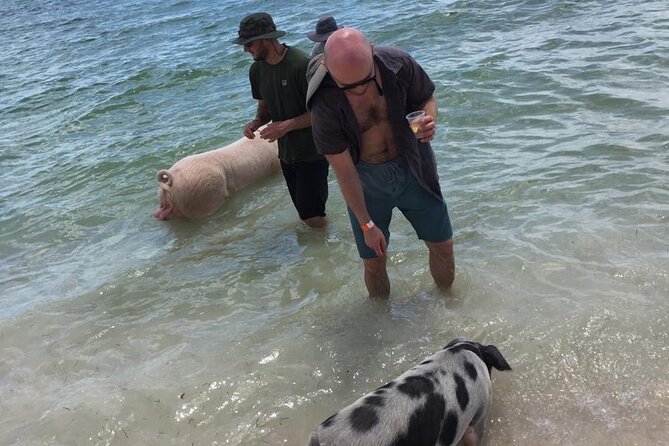 Private Swim With Pigs and Snorkeling in Paradise Tour - Inclusions
