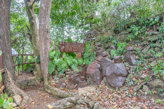 Private Tour An Mao Landscaped and Historical Garden - What to Expect