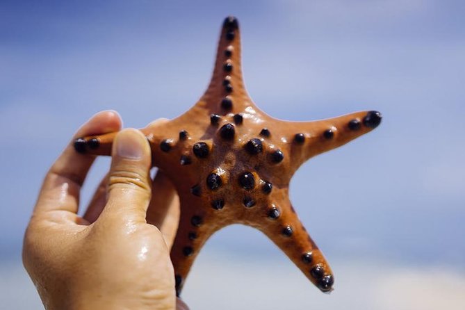 Private Tour: Bohol - 2 Days and 1 Night - Tour Highlights