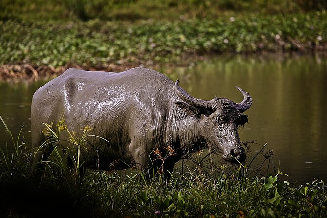 Private Tour Cebu Safari Journeys Full Day - Pricing and Booking Details