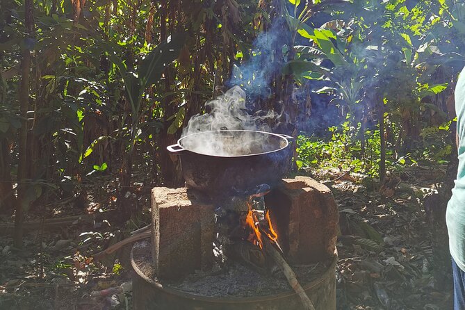 Private Tour Damajagua Waterfalls and Dominican Flavours - Itinerary Details