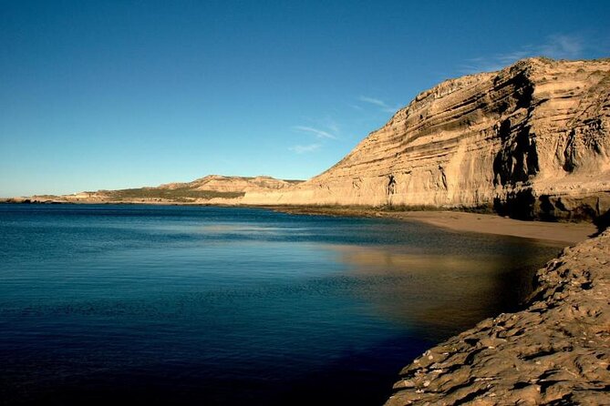 Private Tour for Cruises to the Valdés Peninsula - Tour Inclusions