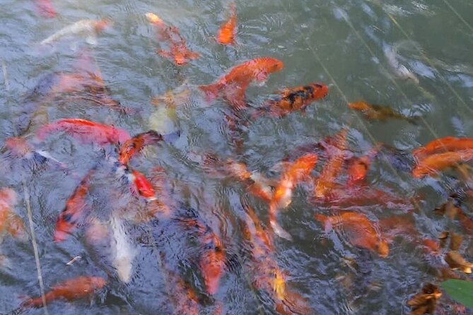 Private Tour From Ocho Rios To Konoko Falls And Garden and Shopping - Personalized Excursion
