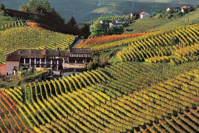 Private Tour From Turin: Full Day Langhe Region With Its Colors and Flavors - Tour Highlights