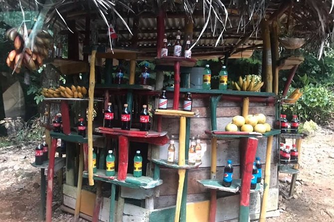 Private Tour of Bob Marley House From Ocho Rios - Cancellation Policy