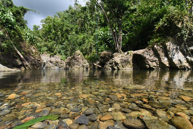 Private Tour of El Yunque Rainforest From San Juan - Overview and What To Expect