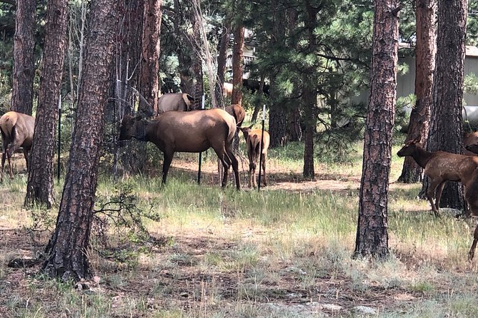 Private Tour of Red Rocks, Echo Lake, Mount Evans and Idaho Springs. - Tour Highlights