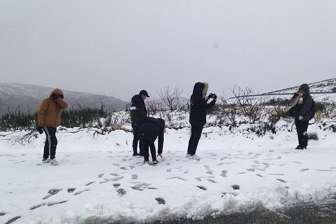 Private Tour Through Serra Da Estrela Park and Its Famous Cheese - Tour Pricing and Reservations