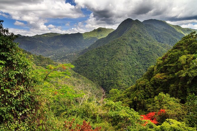 Private Tour to Waterfall in Puerto Rico - What to Expect on the Private Tour