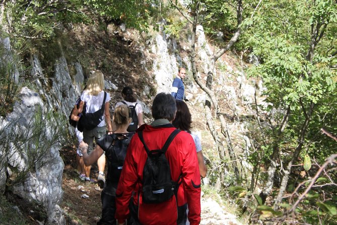 Private Tour: Truffle-Hunting Experience From Positano With Lunch - Cancellation Policy